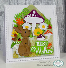 Dies by Sue Wilson Woodland Collection - Bailey The Bunny