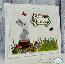 Dies by Sue Wilson Woodland Collection - Bailey The Bunny