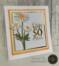 Jamie Rodgers Crafts Florist Collection - Daisy Blooms Die Set