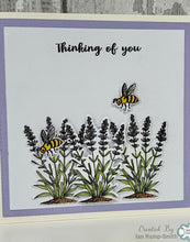 Jamie Rodgers Crafts Creatures of the World Collection - Bee Meadow Stamp & Die Set