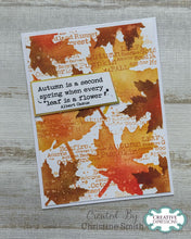 Woodware A7 Clear Stamp Set - Old Leaves