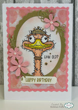 Woodware A6 Clear Stamp Set - Crazy Bird