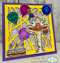 Woodware A6 Clear Stamp Set - Crazy Bird