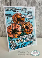 Woodware A6 Clear Stamp - Poppy Cup