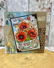 Woodware A6 Clear Stamp - Poppy Cup