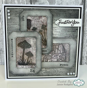 Woodware A7 Clear Stamp Set - Fungi