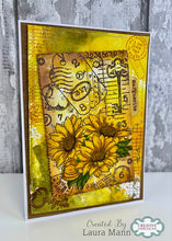 Woodware A6 Clear Stamp Set - Text and Numbers