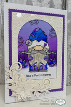 Woodware A6 Clear Stamp Set - Elf Costume