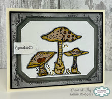 Woodware A5 Clear Stamp Set - Mushrooms