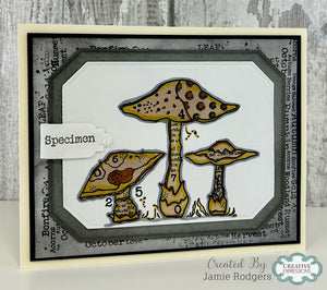 Woodware A5 Clear Stamp Set - Mushrooms