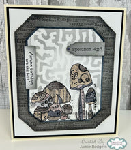 Woodware 6 x 6 Stencil - Roots
