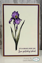 Woodware A6 Clear Stamp Set - Wild Iris