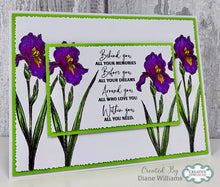 Woodware A6 Clear Stamp Set - Wild Iris