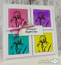 Woodware A6 Clear Stamp Set - Wild Iris