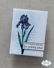 Woodware A6 Clear Stamp Set - Wild Iris