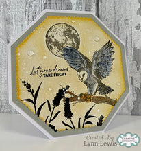 Woodware A6 Clear Stamp Set - Moonlit Whispers