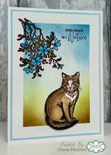 Woodware A6 Clear Stamp Set - Feline Grace