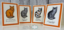 Woodware A6 Clear Stamp Set - Nature's Peace