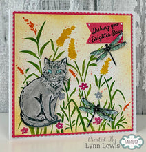 Woodware A6 Clear Stamp Set - Feline Grace