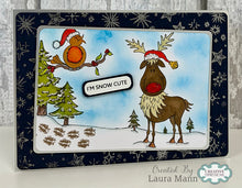 Woodware A6 Clear Stamp Set - Bob