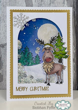 Woodware A6 Clear Stamp Set - Rodney