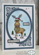 Woodware A6 Clear Stamp Set - Rodney