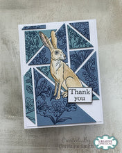 Woodware A6 Clear Stamp Set - Watchful Hare