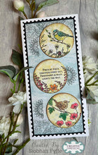 Woodware A6 Clear Stamp Set - Woodblock Impressions