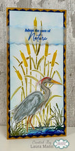Woodware DL Stencil - Nature's Velvet