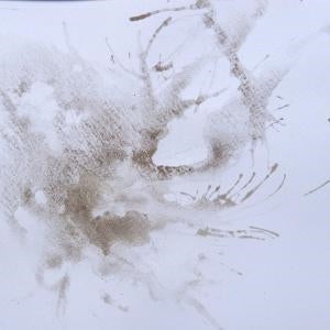 Cosmic Shimmer Pixie Powder - White Pearl Mixer