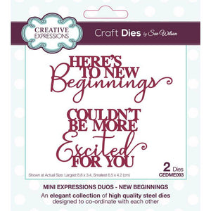 Dies by Sue Wilson - Mini Expressions Duos New Beginnings