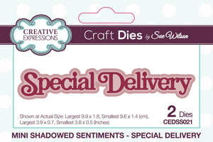 Dies by Sue Wilson Mini Shadowed Sentiments - Special Delivery
