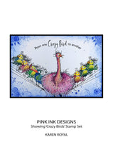 Pink Ink Designs A5 Clear Stamp Set - Crazy Birds