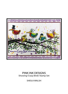 Pink Ink Designs A5 Clear Stamp Set - Crazy Birds